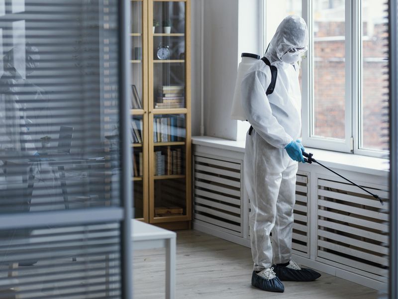 pest control spraying