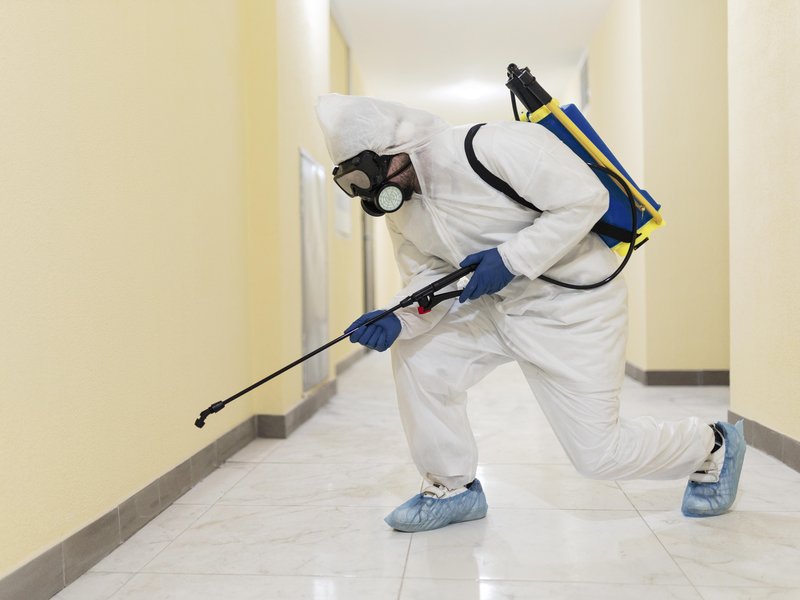 Spider Extermination & Prevention